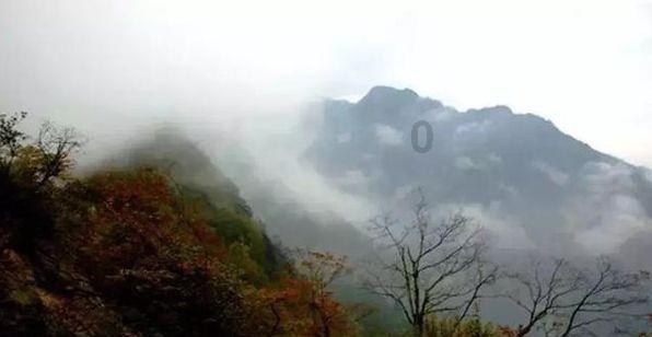 点滴见初心,以实干担当助力乡村振兴