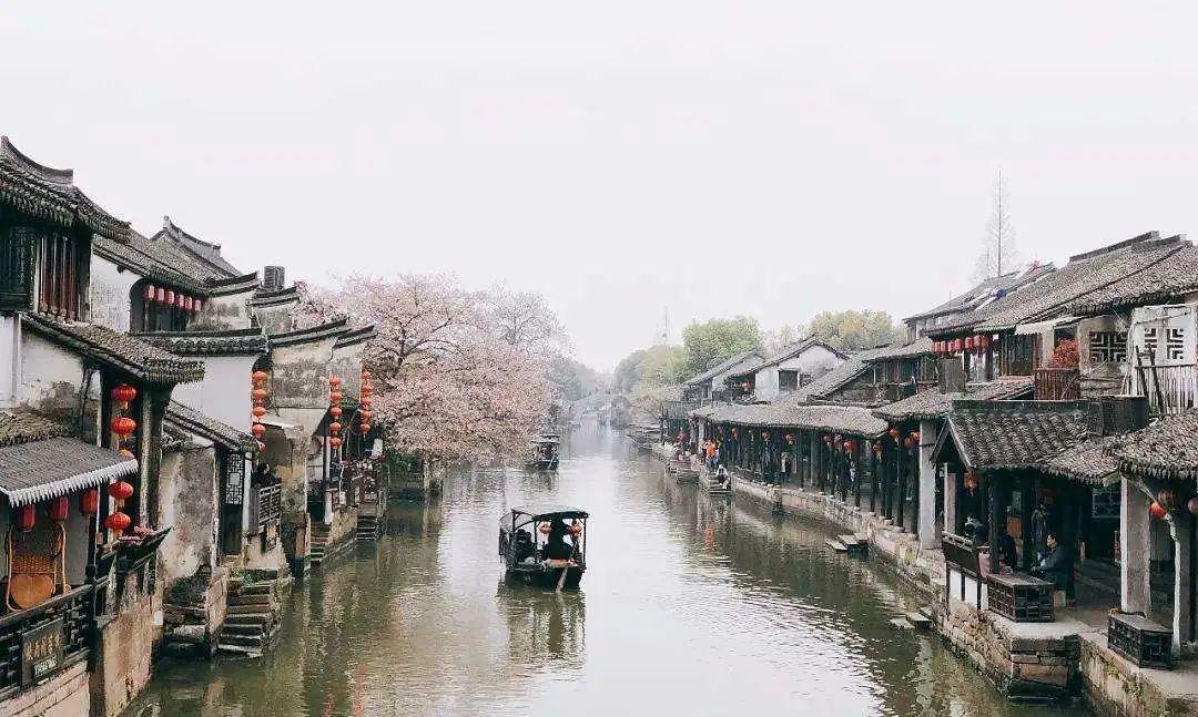 救援受困的鹭